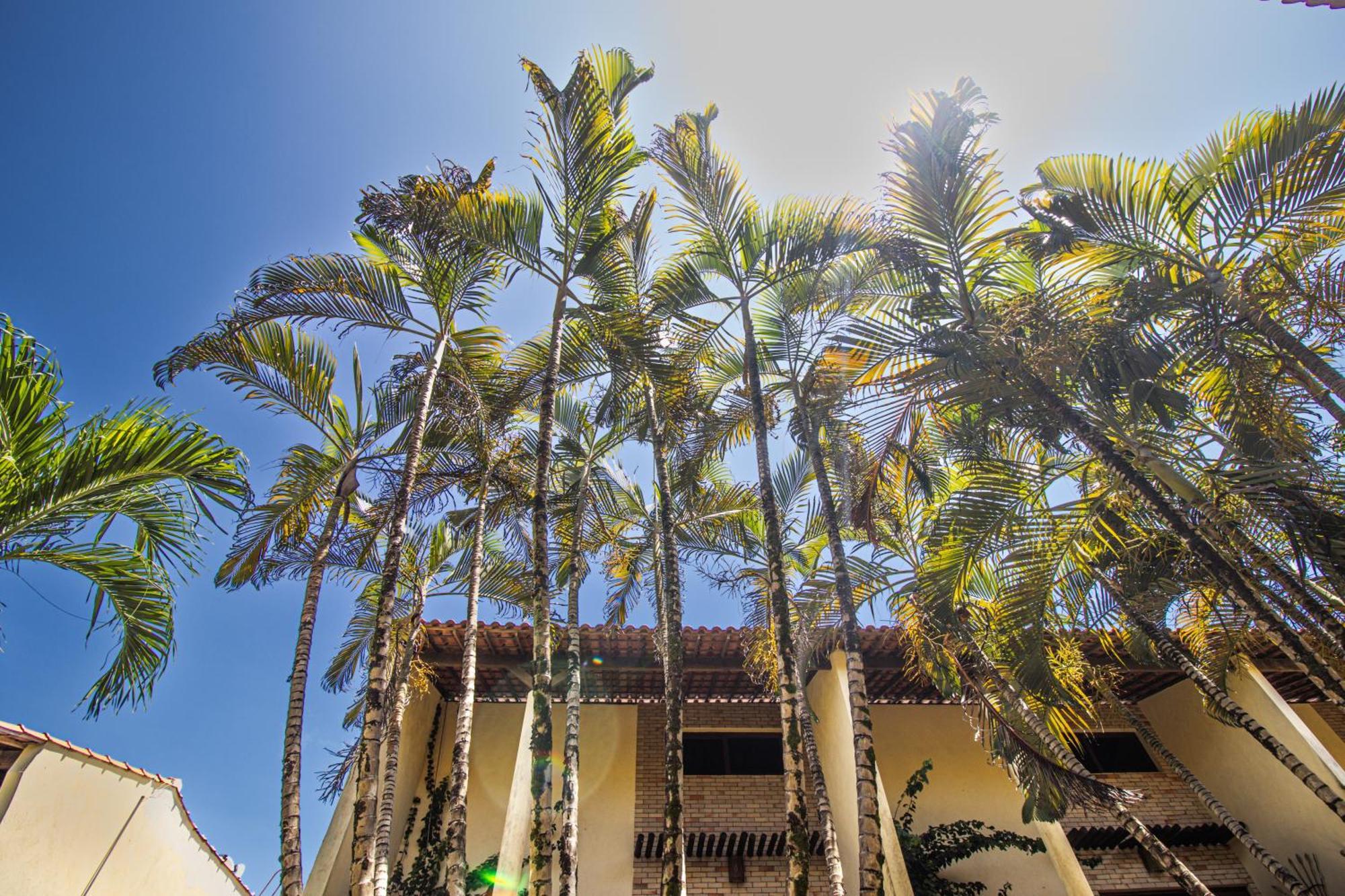 Condominio Solar Pipa - Apartamento Economico, Sem Varanda Praia de Pipa Exterior foto
